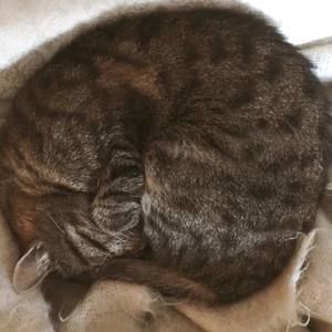 Meet your Posher, Barbara